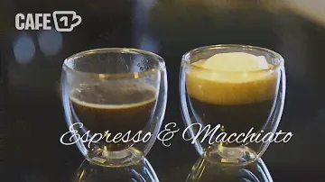 BIALETTI Mini Expresse / CAFE 1 CUP